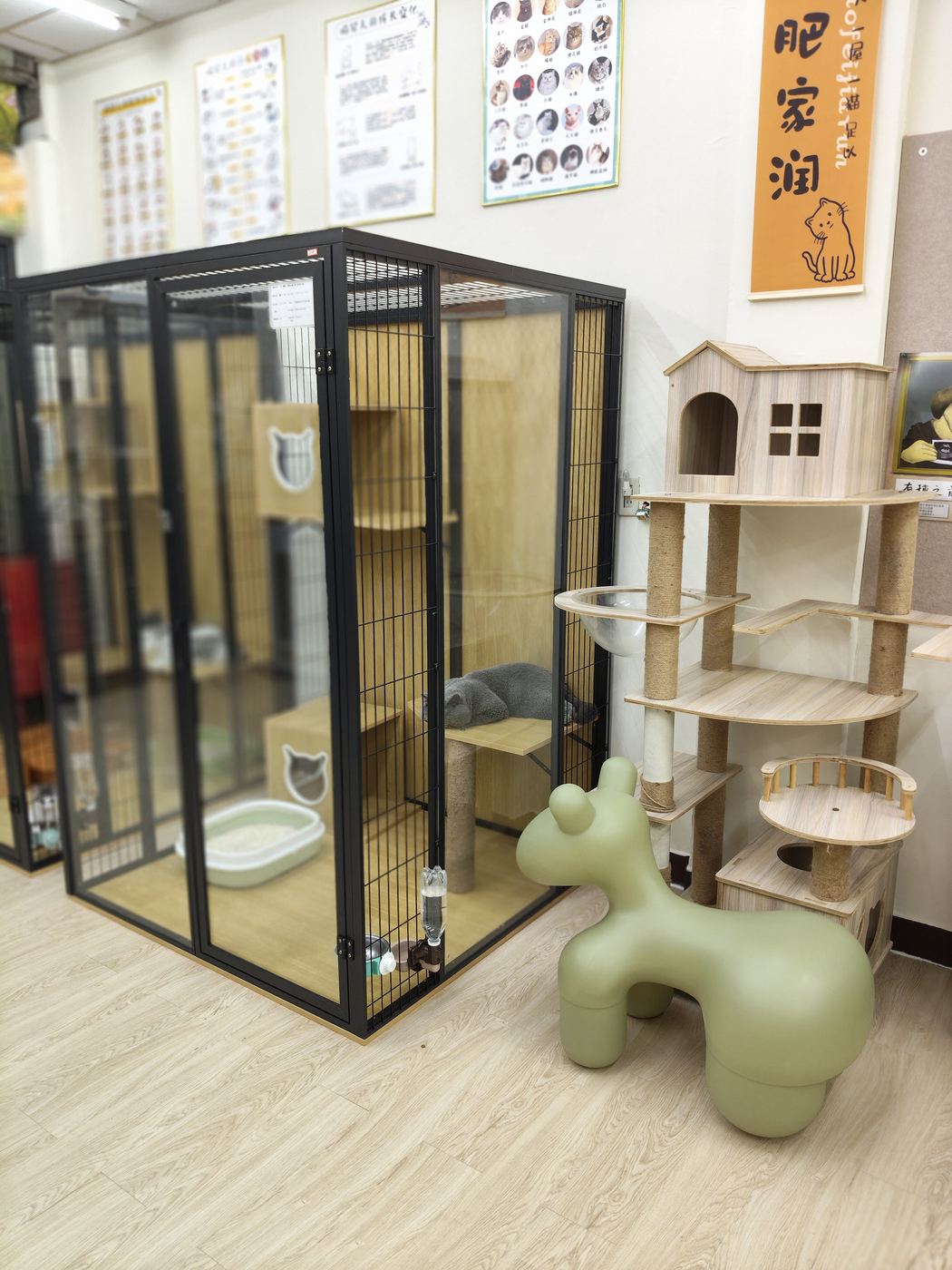 店內獨立玻璃貓房，內有貓屋、貓跳台、貓砂盆與自動飲水器